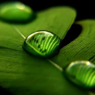 The Philosophy of Six Senses
