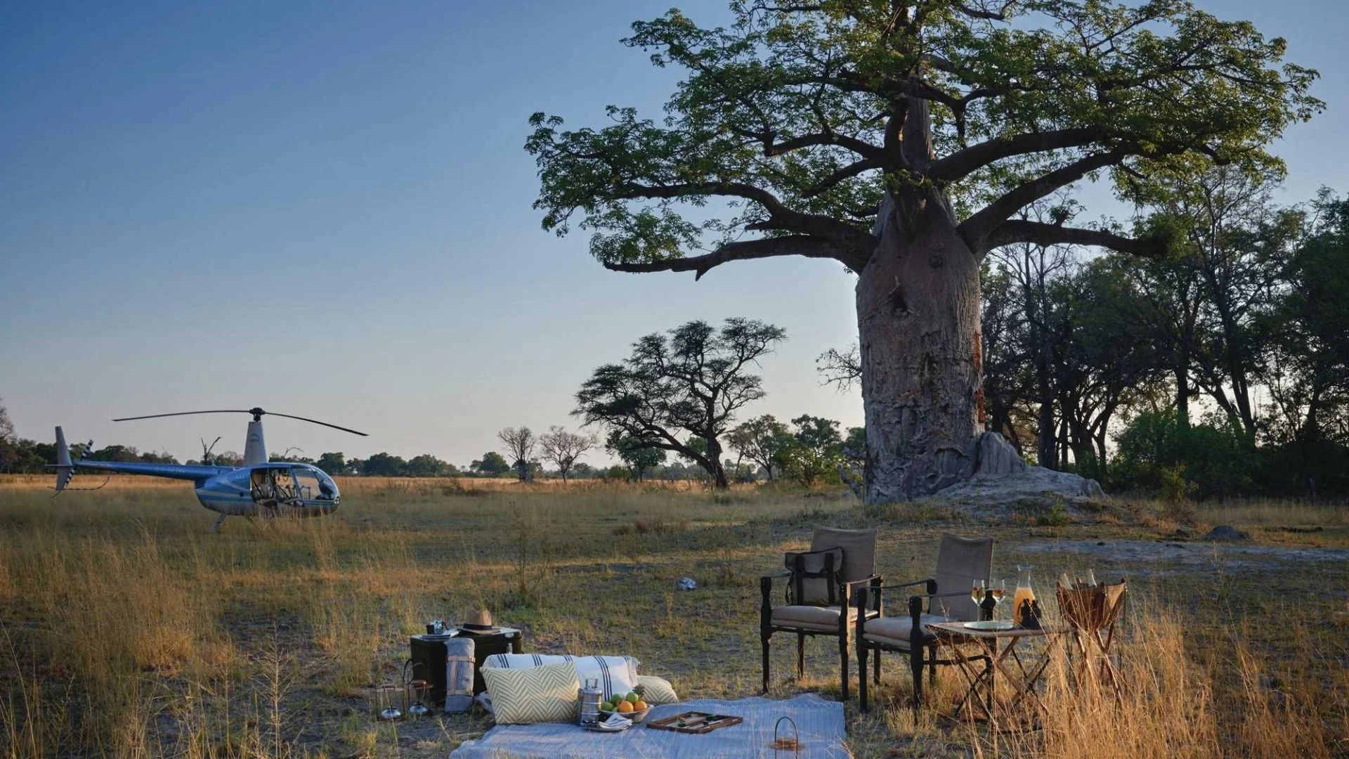 Uncomparable wildlife experience