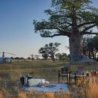 Uncomparable wildlife experience