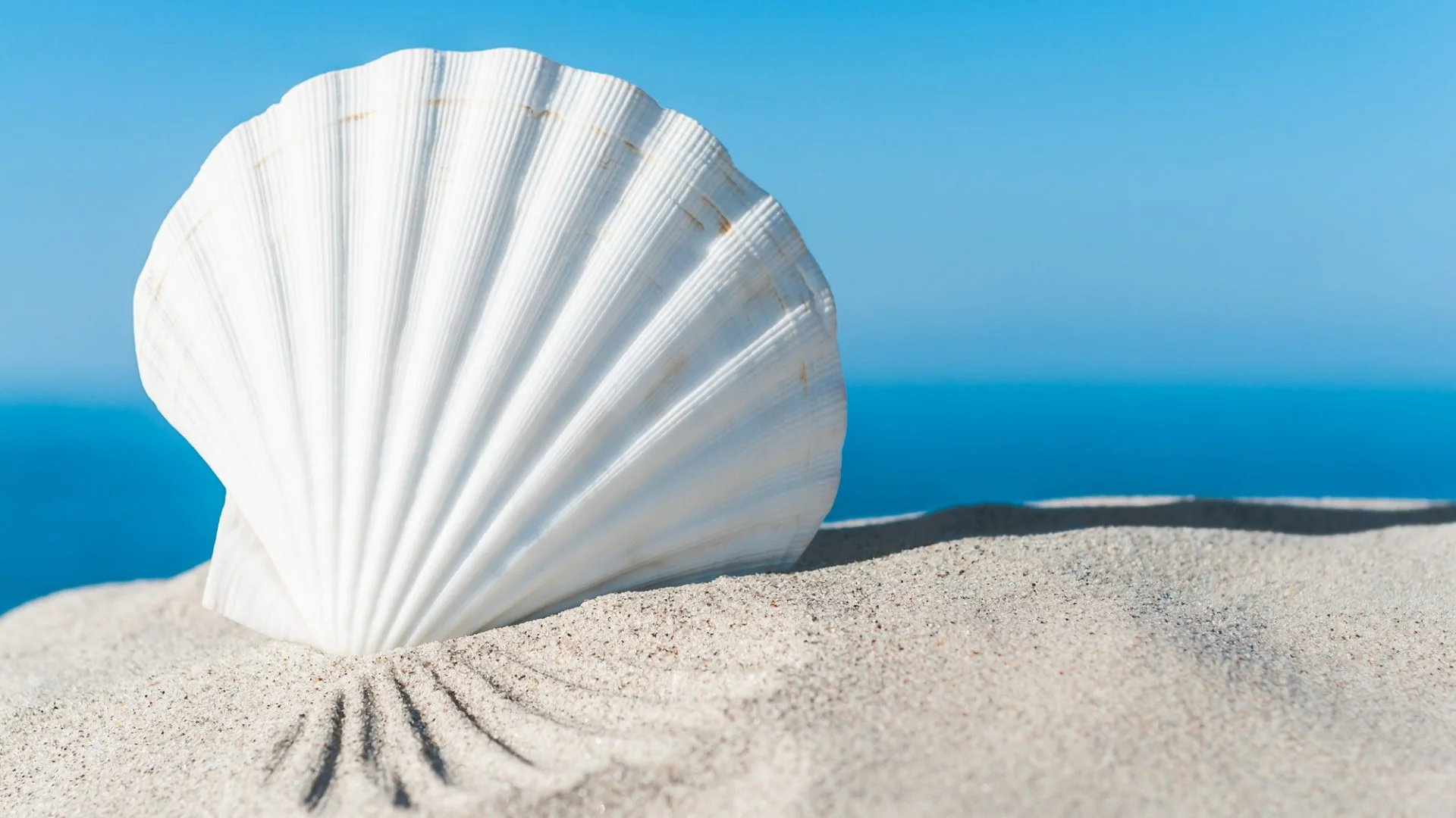 Escape to the Mediterranean