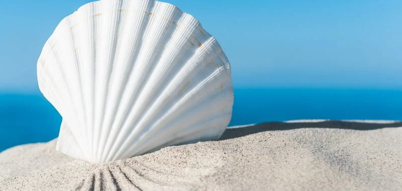 Escape to the Mediterranean