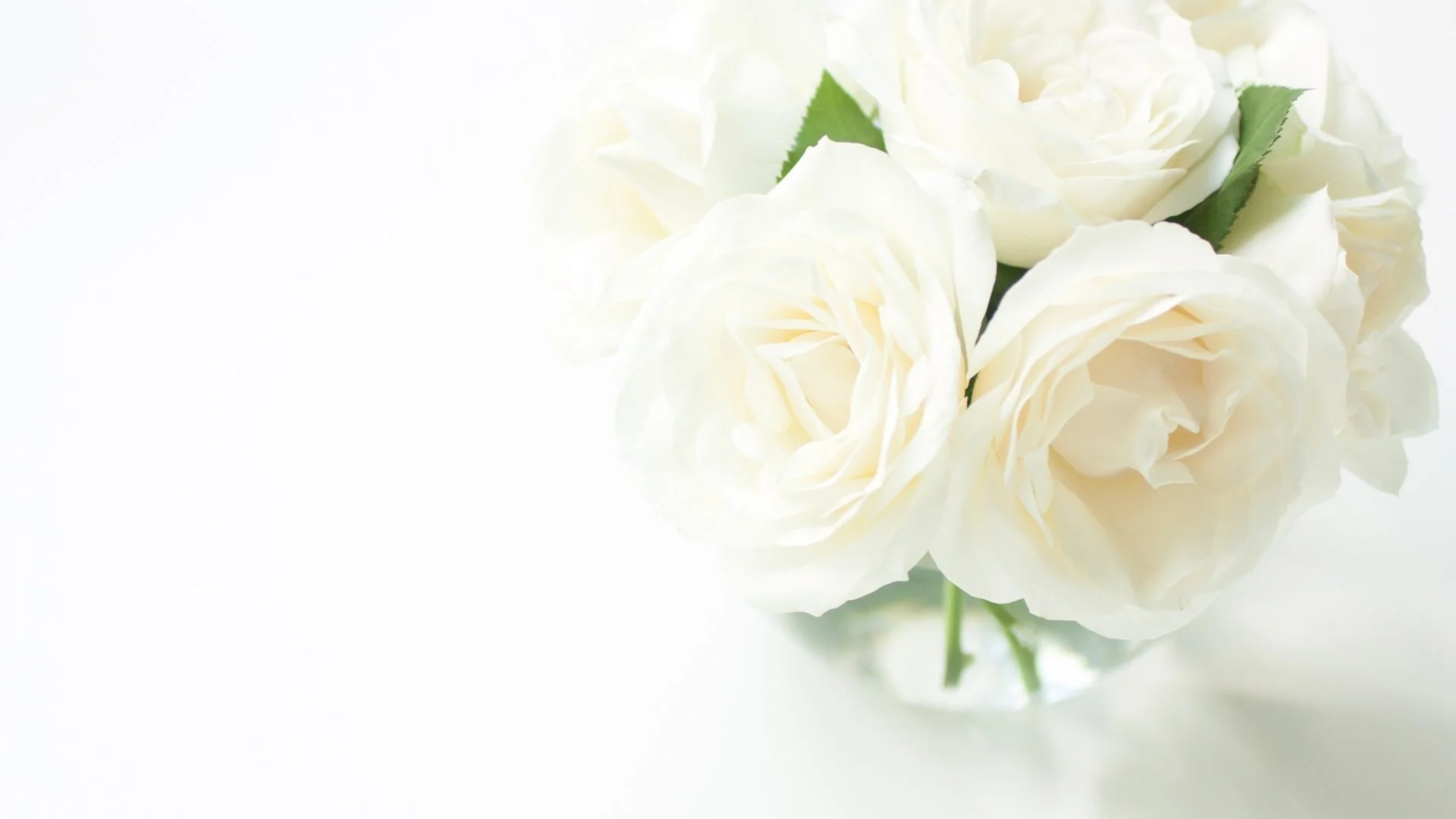 Celebration of Love