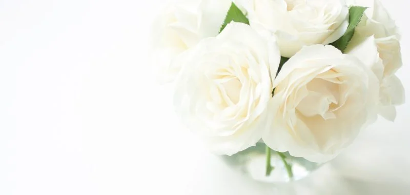 Celebration of Love