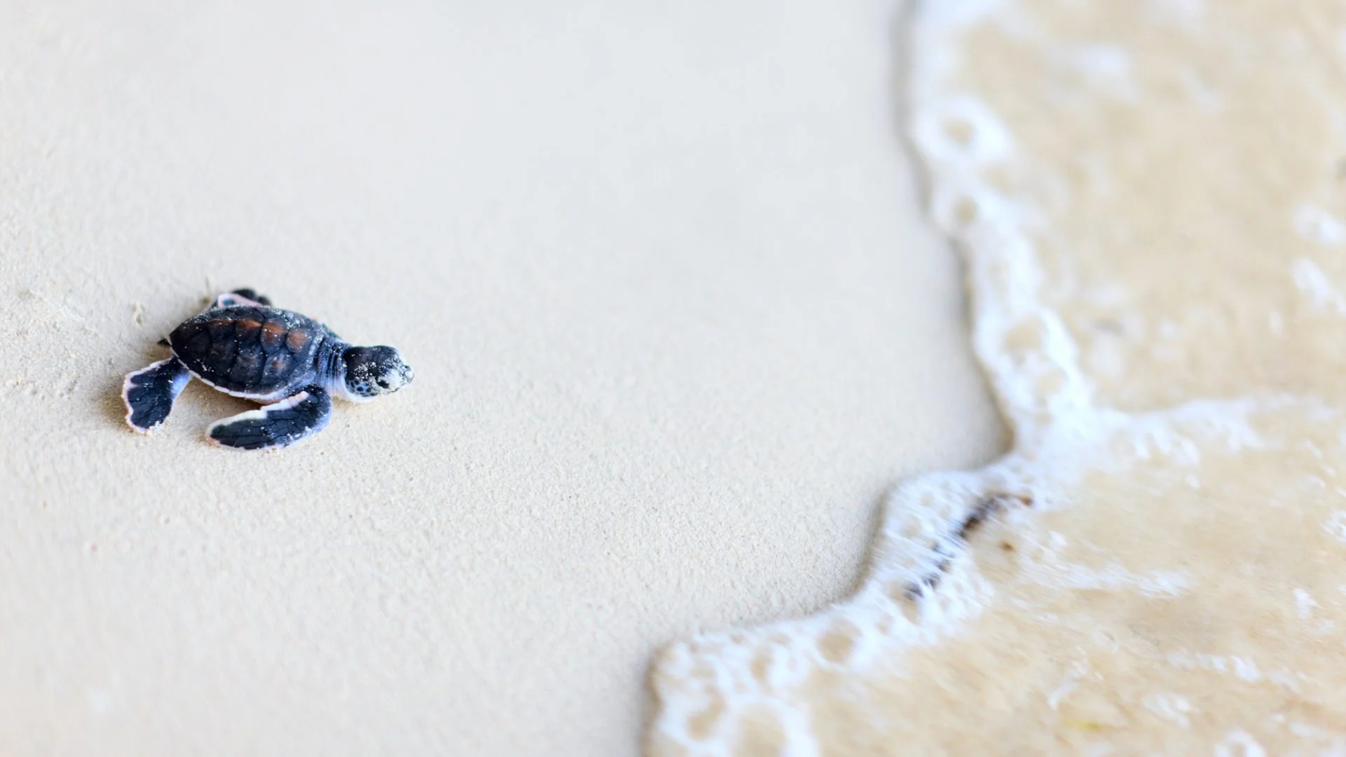 Why You Should Visit Seychelles