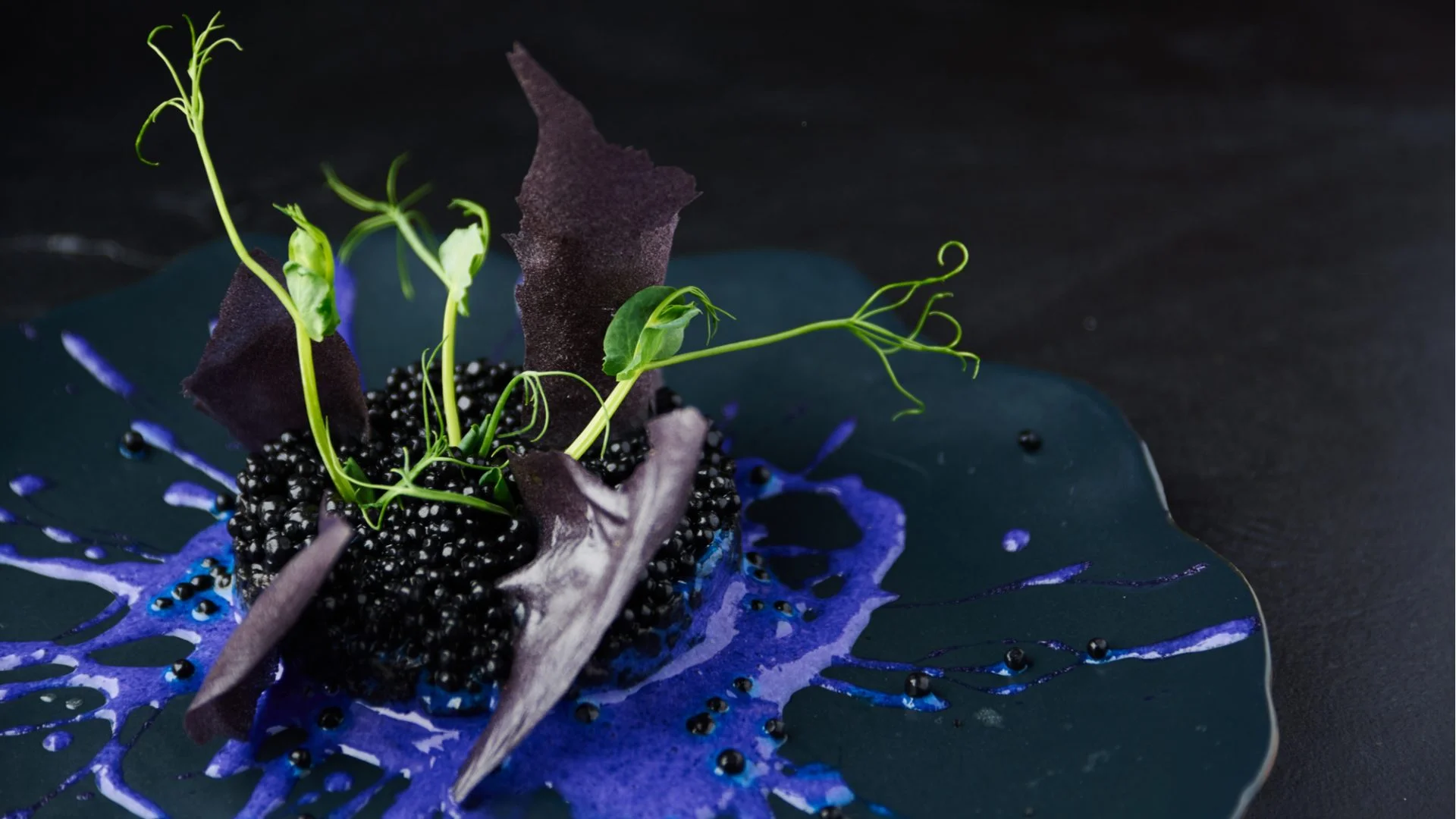 The magical gastronomy of the world