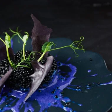 The magical gastronomy of the world