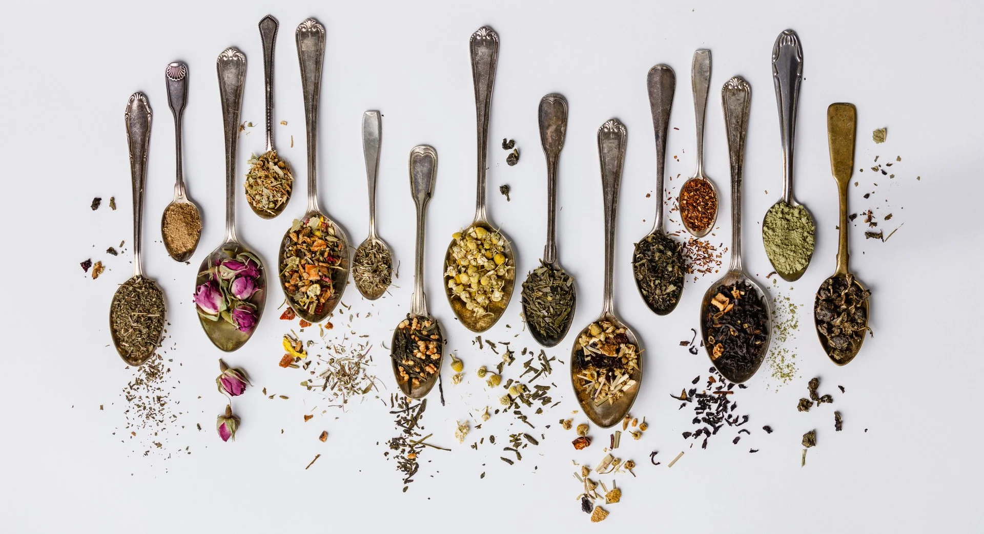 A voyage made for the bon vivant