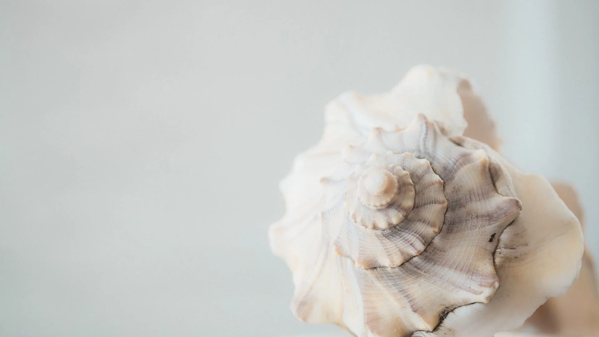 The Muraka – a truly unique underwater experience