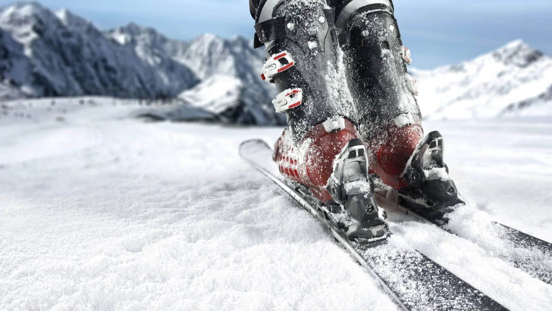 Trilling winter wonders