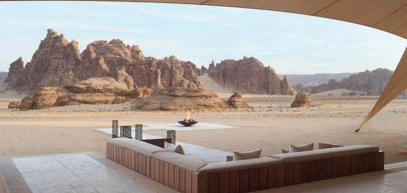 The abundant life of the desert