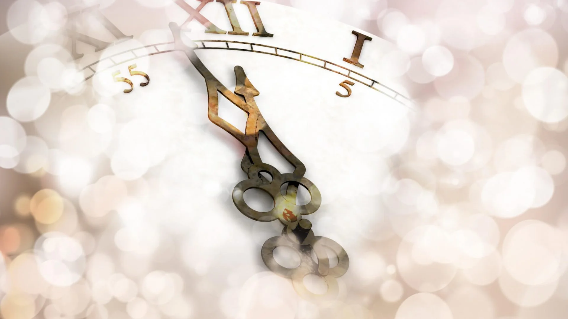 Stellar Adriatic New Year