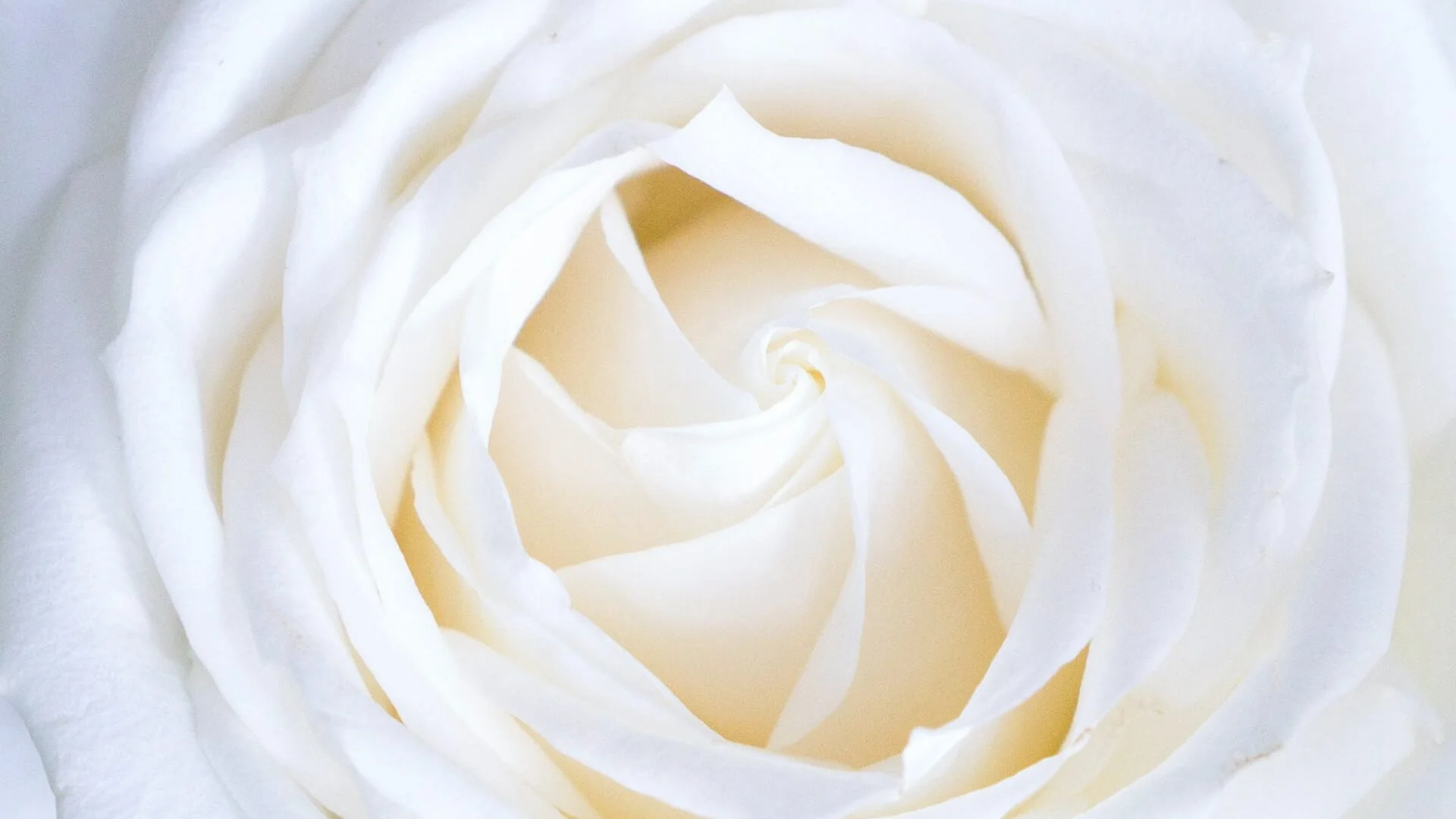 Dior Spa: A Luxurious and Indulgent Experience