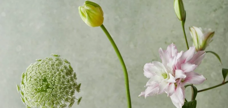 Scented Escape