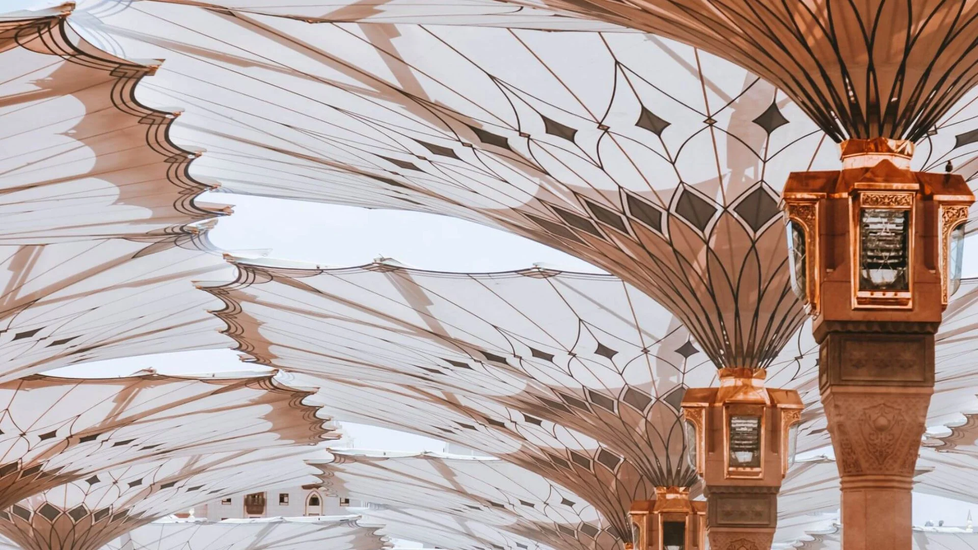 Where Winter Lights Up