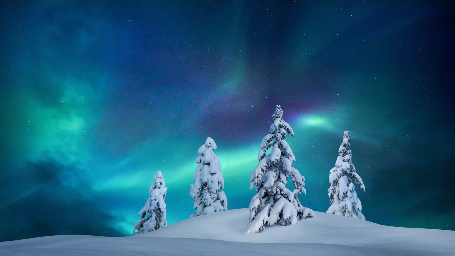 Have you seen the Northern Lights?