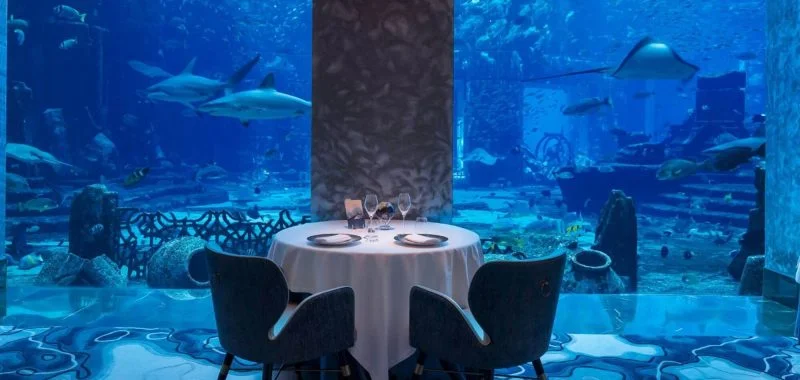 A culinary voyage under the sea