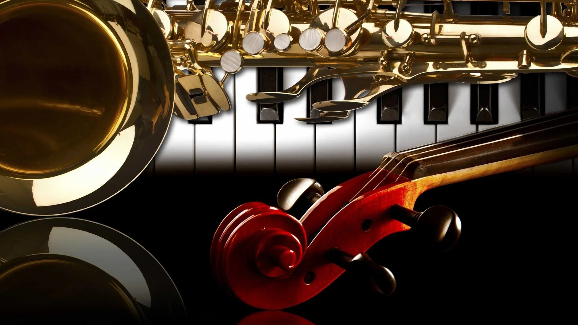 Language of music on Sani Festival