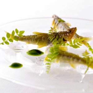 Style of food